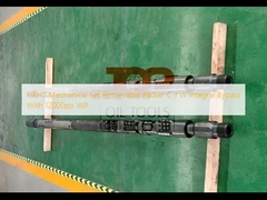 Embalador recuperable C del sistema mecánico de HPHT/puente integral de W con 12000psi WP